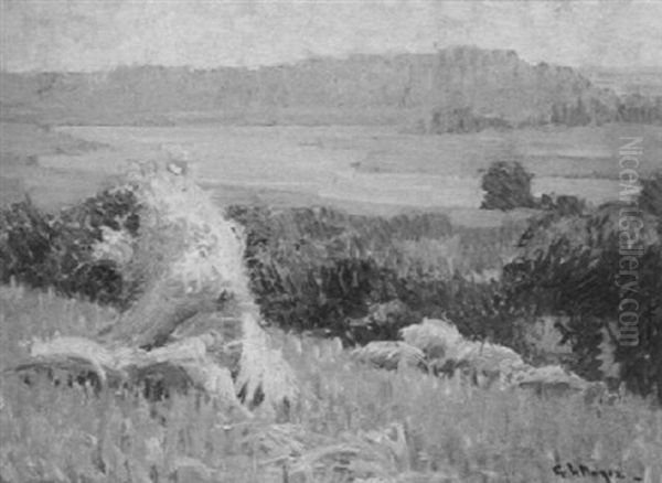Rye Sheaves Ipswich - view 1