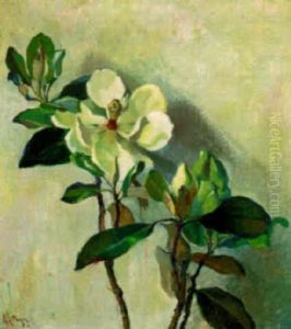 Flowering Magnolias