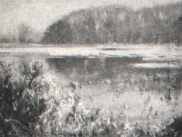 End Of The Winter In Medfield - view 1