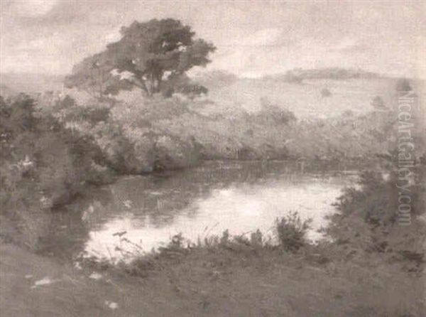 The Pond - view 1