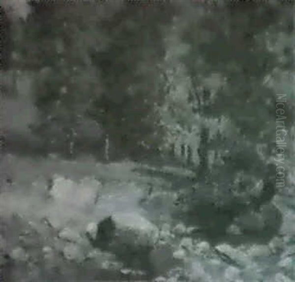 Landscape - view 1