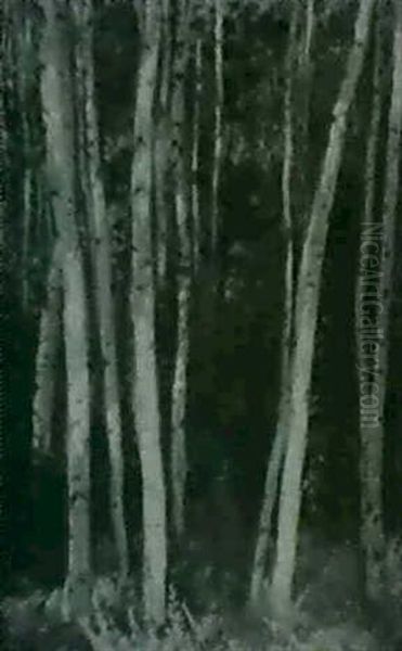 Spirit Of The Woods - view 1