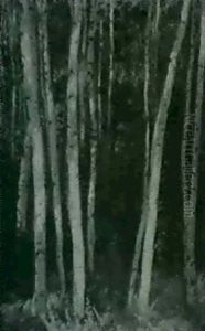 Spirit Of The Woods Spirit Of The Woods