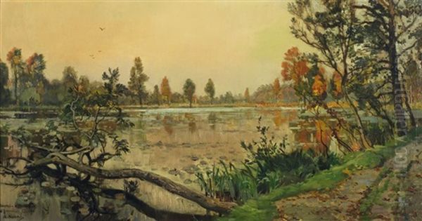 Vue D'etang Dans Un Sous-bois - view 1