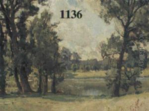 Uferlandschaft
