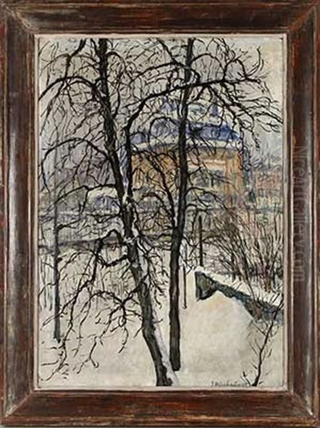 Villa Im Winter - view 1