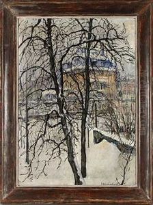 Villa Im Winter by Jakob Nussbaum