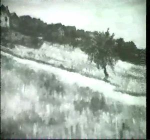 Wiesenhang, Im Hintergrund Ein Dorf by Jakob Nussbaum