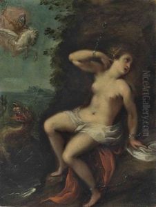 Andromeda Andromeda