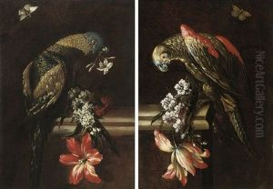 A Parrot With Blue, Green And Gold Plumage, Perched On A Stone Ledge (+ A Parrot; Pair)