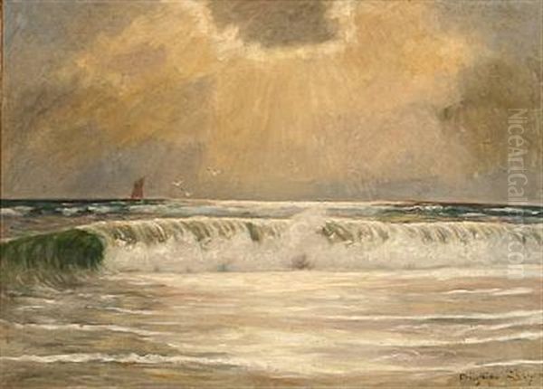 Breakers At Skagen Coast, Denmark - view 1