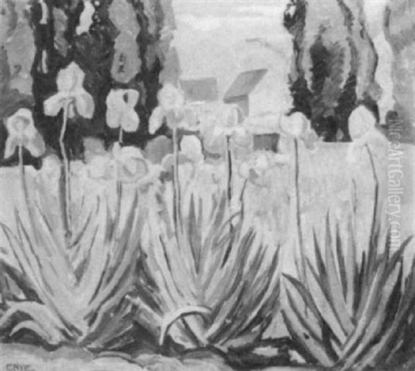 Iris - view 1