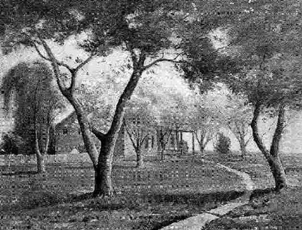 Country Landscape With Cabin - view 1