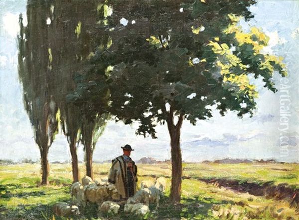 Nyari Meleg - view 1
