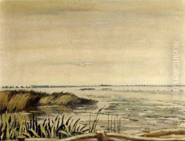 A Quiet Lake - view 1
