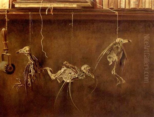 Stilleven Met Vogelskeletjes - A Still Life With Bird's Skeletons - view 1