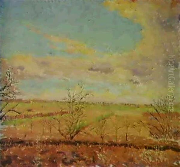 Landscape - view 1