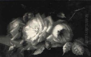 Rosenstilleben Rosenstilleben