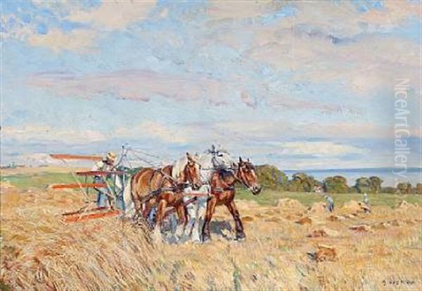 Harvest - view 1