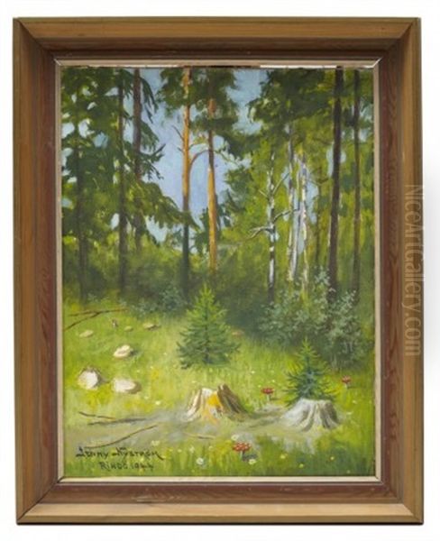 Svampskog I Sommarsol - view 1