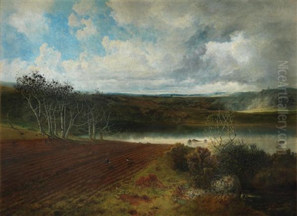 The Fallow Field - view 1