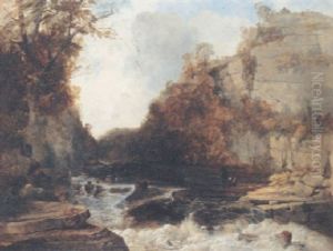 Rocky Glen And River, Derbyshire