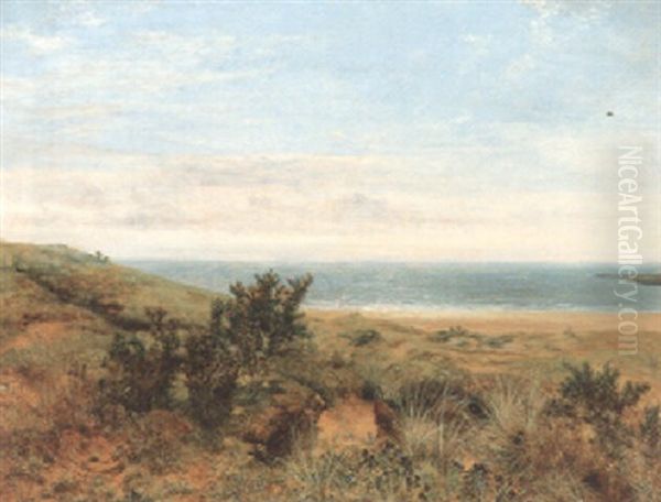 The Warren - view 1