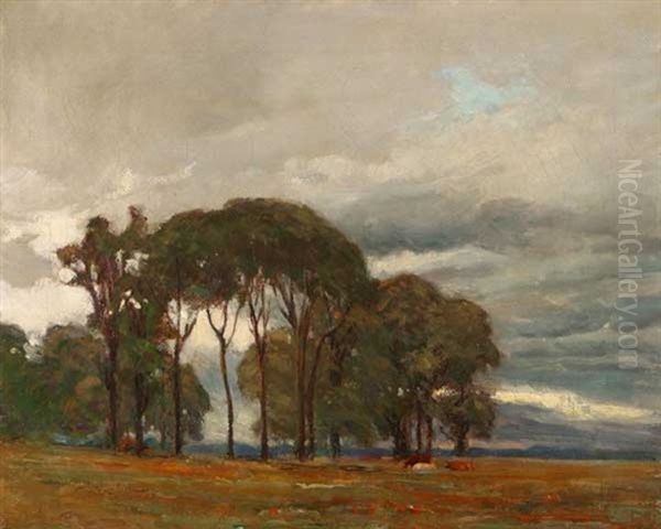 Cloudy Day - Cattle In Eucalyptus Landscape - view 1