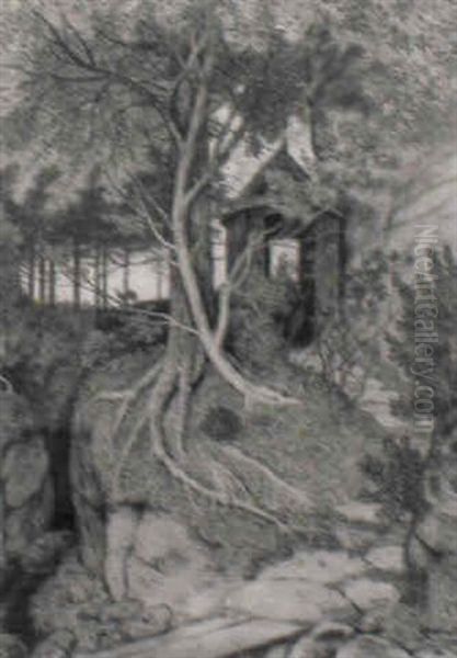 Waldidylle - view 1