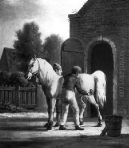 Brushing The Horse