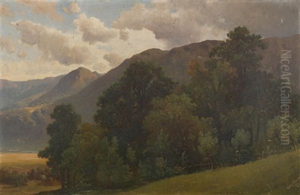 Tiroler Gebirgslandschaft - view 1