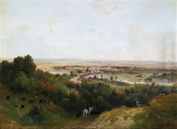 Blick Auf Wels - view 1