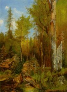 "aus Den Forsten Des Fursten Schwarzenberg, Ausgang Des Urwaldes, Welchen Den Furst Stehen Lies, Da Schiller Seine Rauber Da Dichtete..." by Adolf Obermuellner