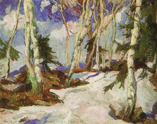 Trees In Snow - view 1