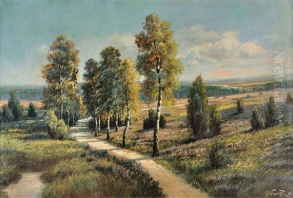 Paysage - view 1