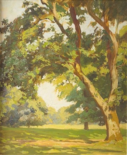 In The Park, Cahirmoyle - view 1