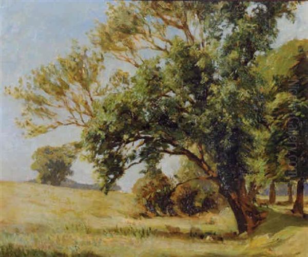 Rathgonan, Sheep Grazing Under Trees - view 1