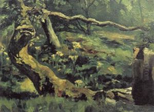 A Wooded Landscape A Wooded Landscape
