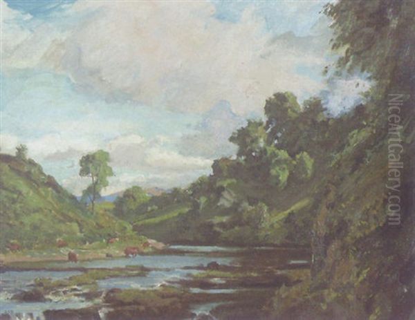Above The Falls, Ballymore Eustace, Co. Kildare - view 1