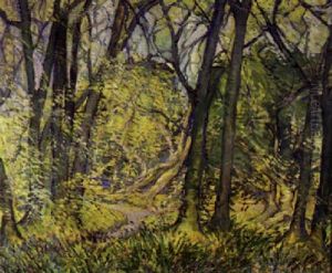 In The Woods