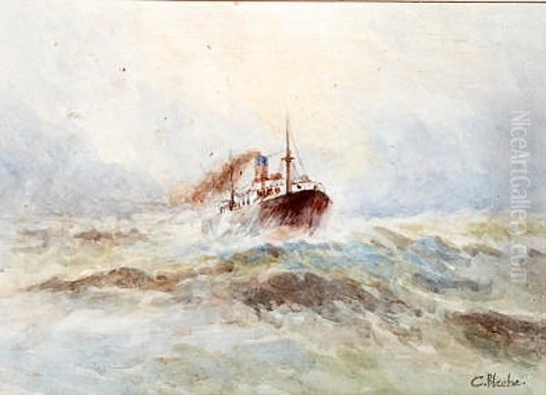 Study Of A Steamship In Heavy Seas - view 1