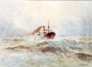 Study Of A Steamship In Heavy Seas by C. Blache