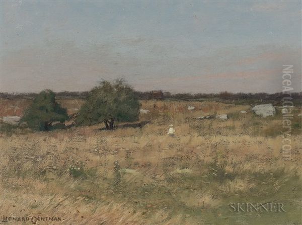 Figure In A Meadow - view 1