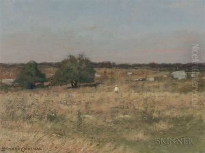 Figure In A Meadow