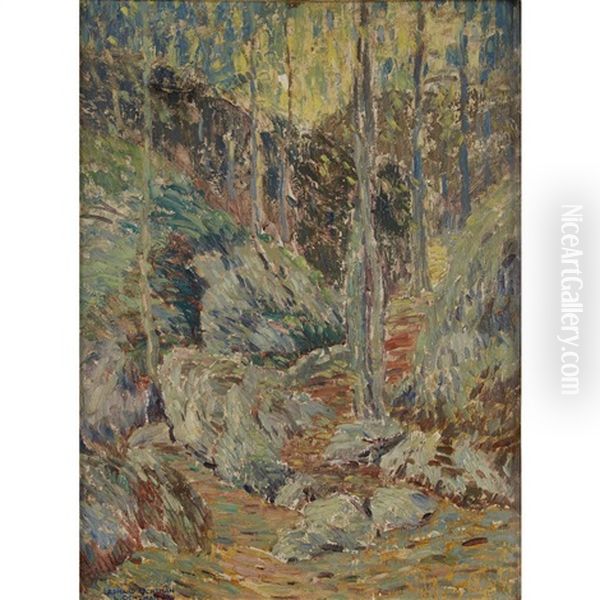 The Upland Trail - view 1
