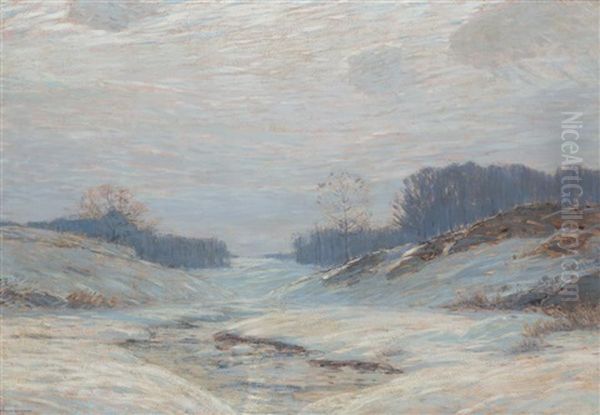 Cold Winter Snow Storm - view 1