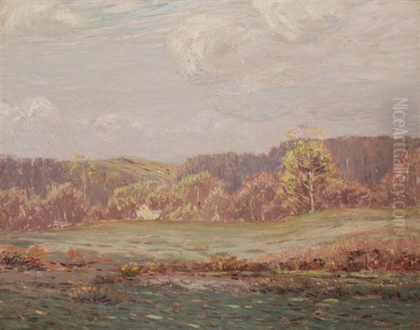 Country Landscape - view 1
