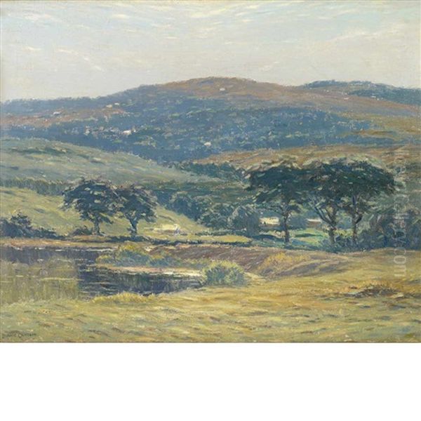 Pond In Spring - view 1