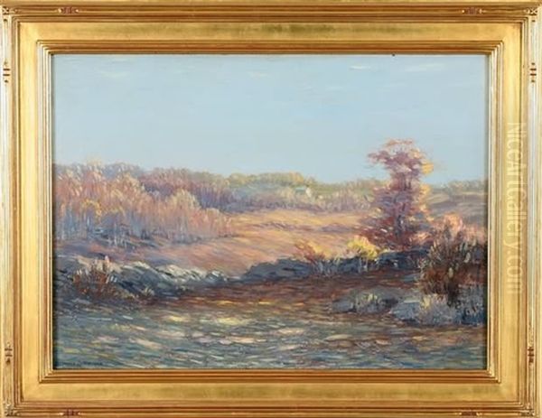 Landscape - view 1