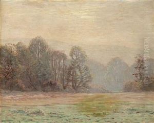 Trees In A Landscape